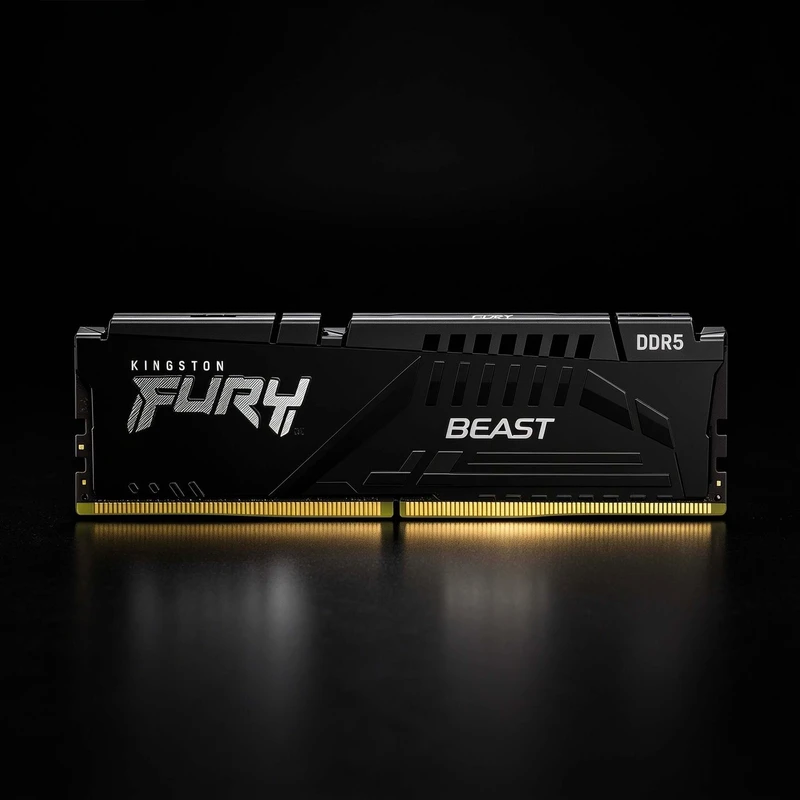 16Gb Kingston FURY Beast Black KF560C36BBE2-16, DDR V, PC-48000, 6000MHz